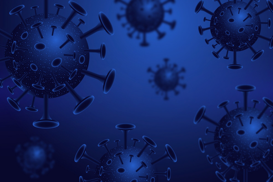 El Sistema Inmunitario: Deterioro y Efectos en la Salud