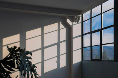 Luz del sol entrando por una ventana sobre una pared blanca