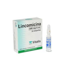 Lincomicina 600mg 2ml 10 ampollas — Vitalis